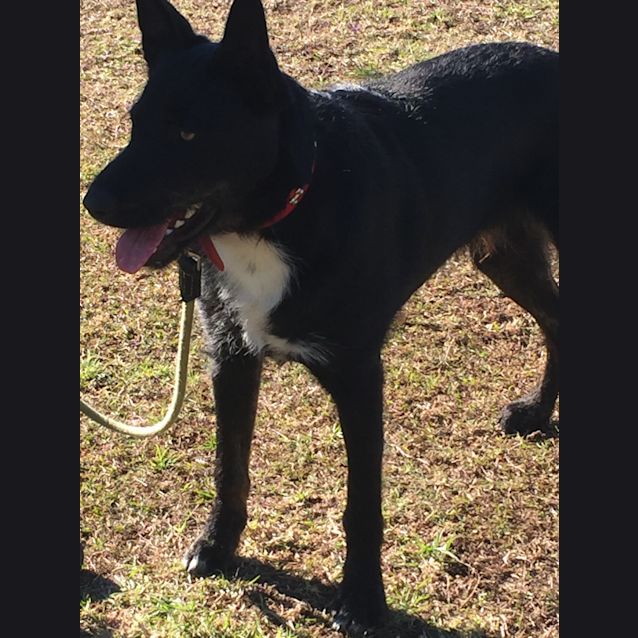 Photo of Spike