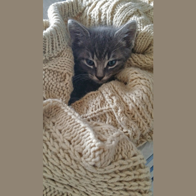 Photo of Boo
