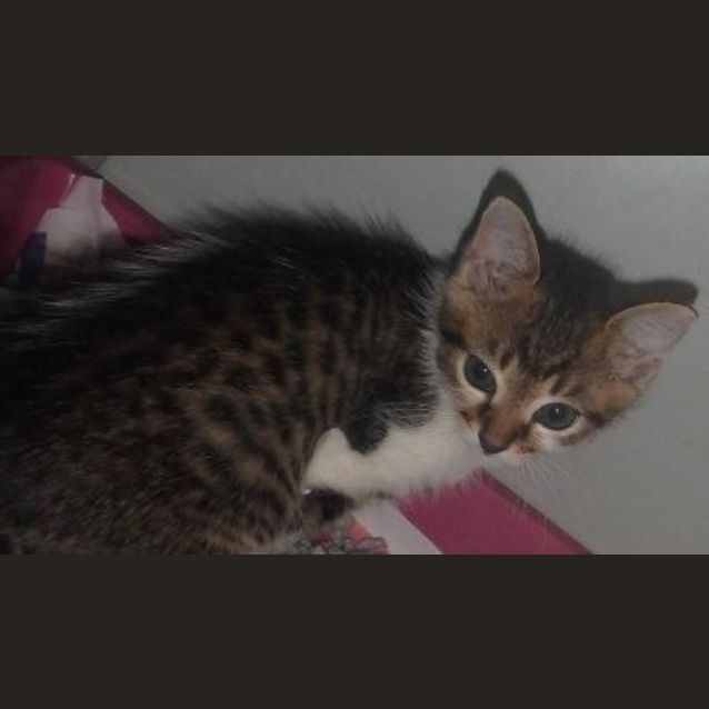 Photo of Leo