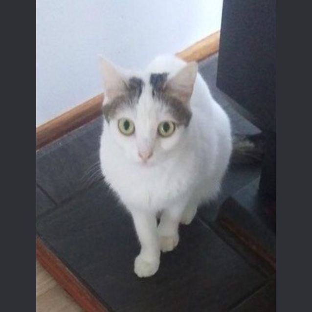 Photo of Monty
