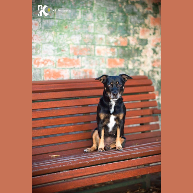 Photo of Kirra