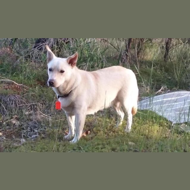 Photo of Meeka