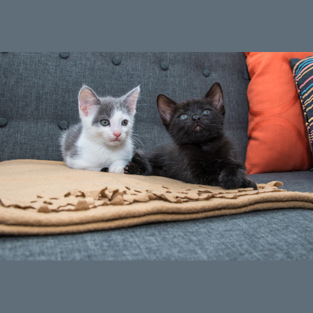 Photo of Eric And Jasmine