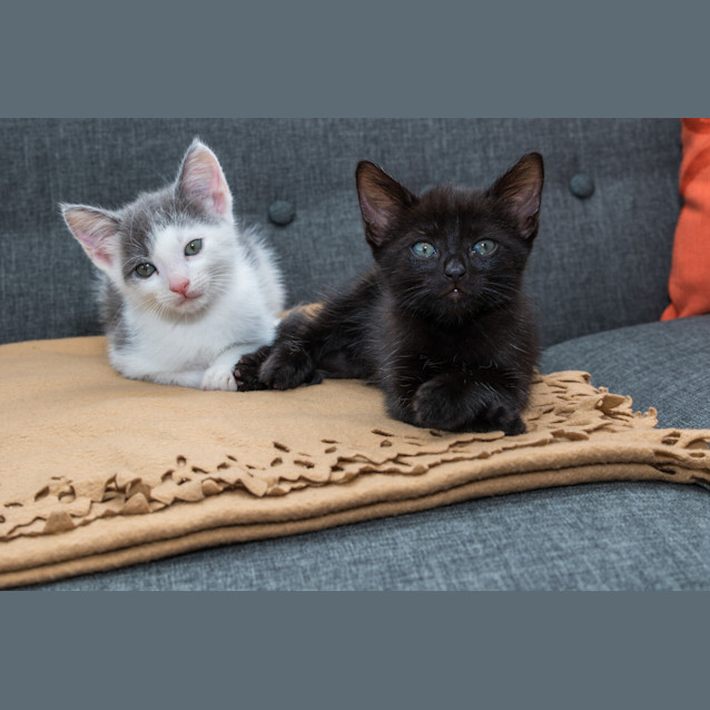 Photo of Eric And Jasmine