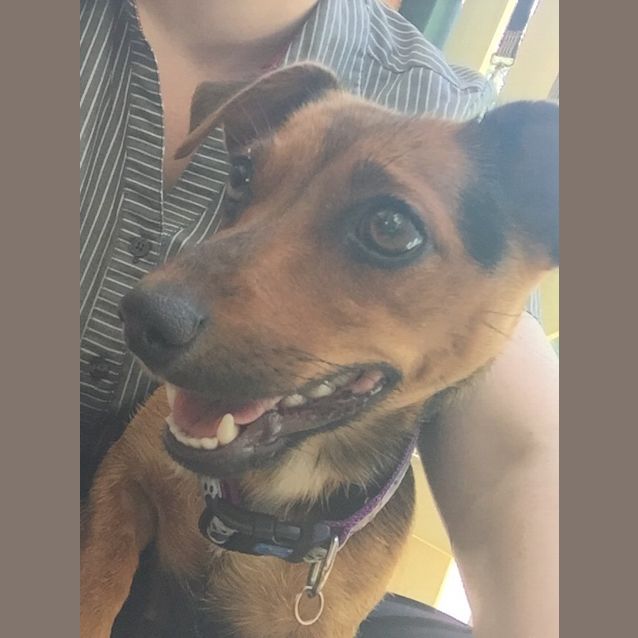 Photo of Millie