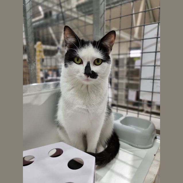 Photo of Sugar