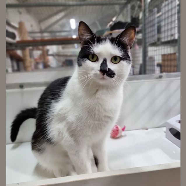 Photo of Sugar