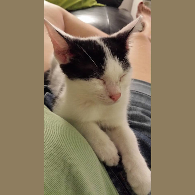 Photo of Minnie ** I'm Just $25! **