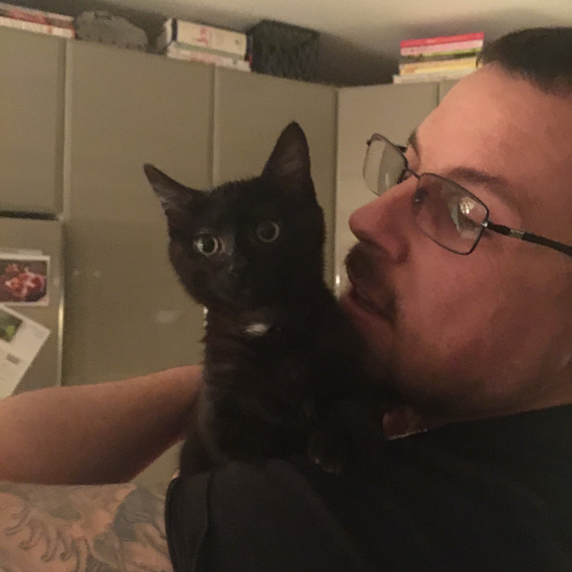 Photo of *** Zoro ***