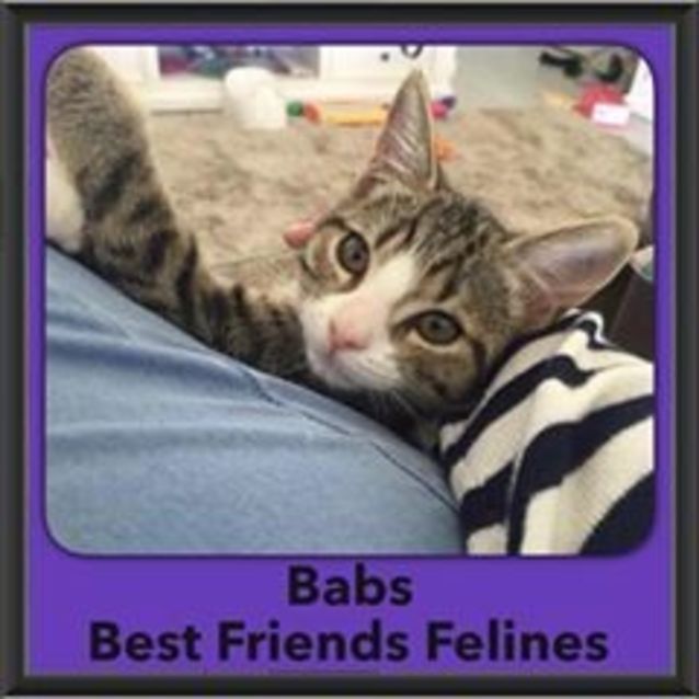 Photo of Babs
