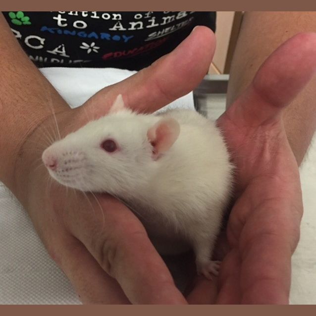 Photo of Jack