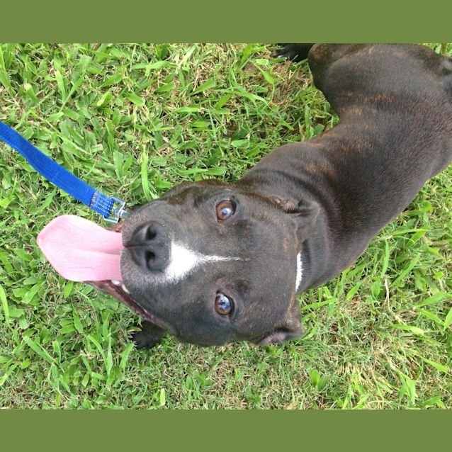 Photo of Chase