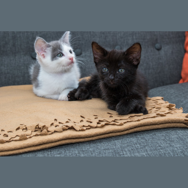 Photo of Eric And Jasmine