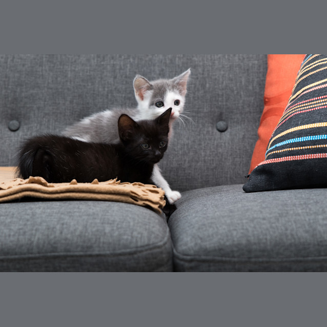 Photo of Eric And Jasmine