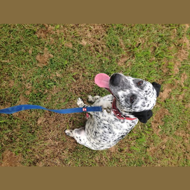 Photo of Zeus