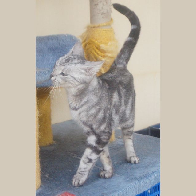 Photo of Bess