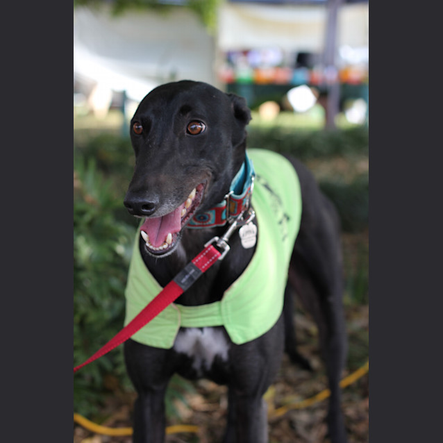 Photo of “Tony”, A Whole New World, Brisbane