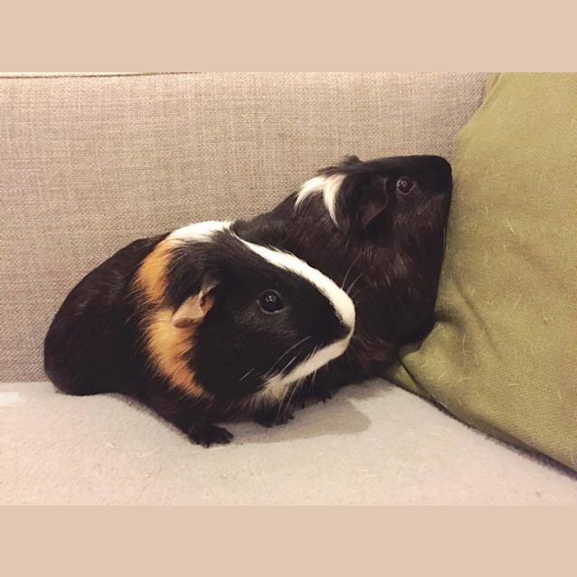 Photo of Eugene And Doogie