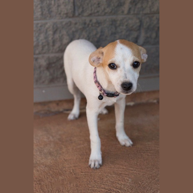 Photo of Tiny (D3404) 