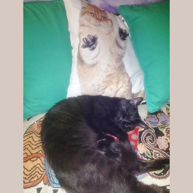 Photo of Cashmere