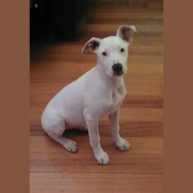 Photo of Snow *On Trial In Her New Home*