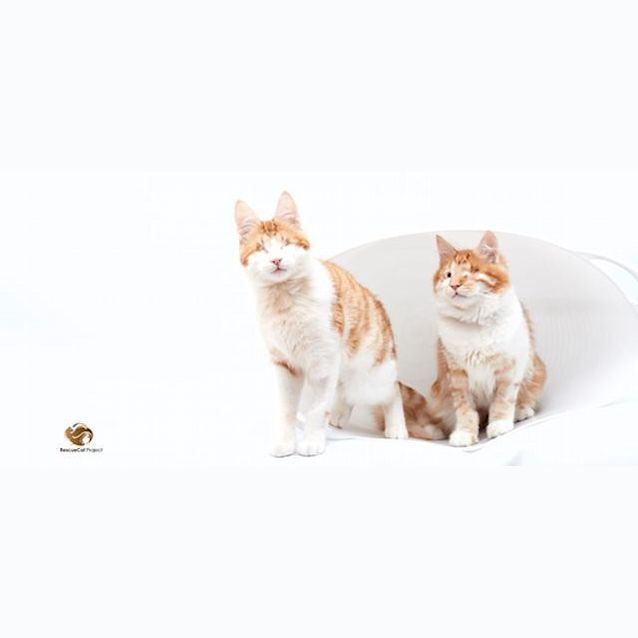 Photo of Stevie & Isaac 