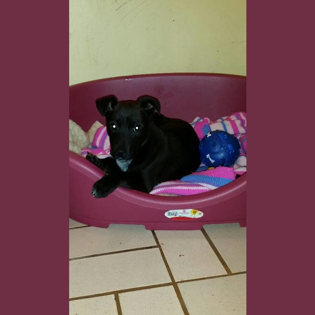 Photo of Samantha