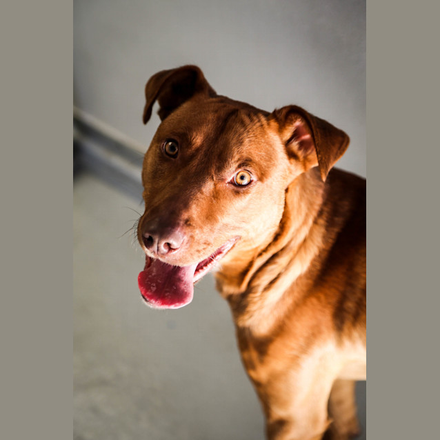 Photo of Barney (2847)