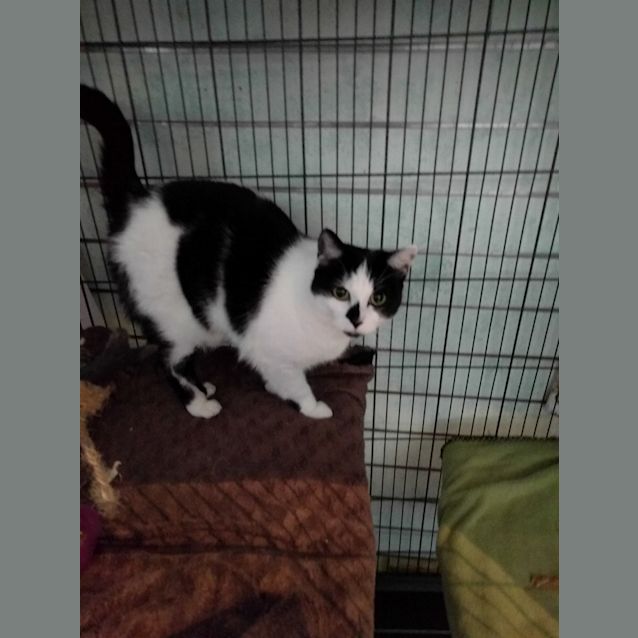Photo of Mavis