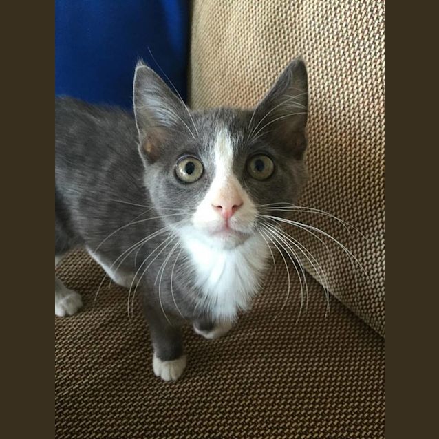Photo of Theo