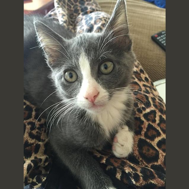 Photo of Theo
