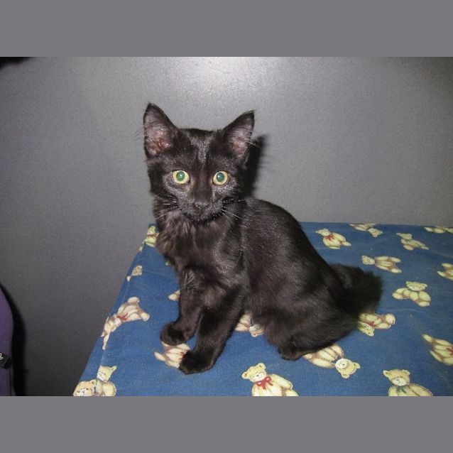 Photo of Molly ( Was Chanel)