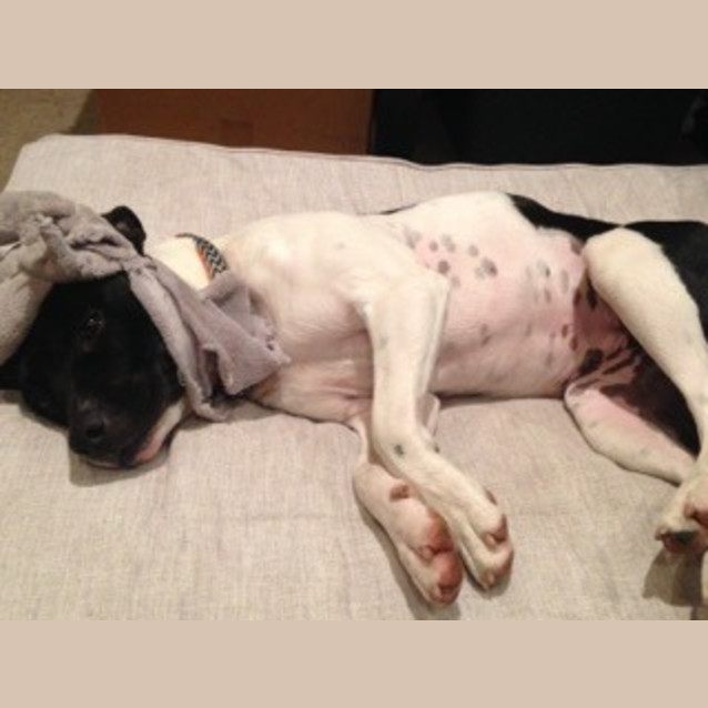 Photo of Eleanor ** A Lovely Natured Girl **
