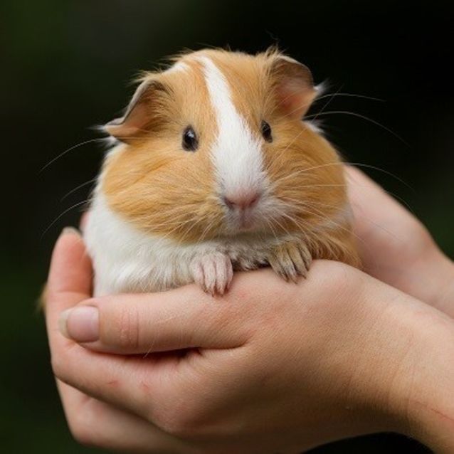 Photo of Miss Perfect