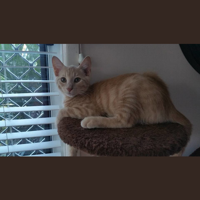 Photo of Rueben