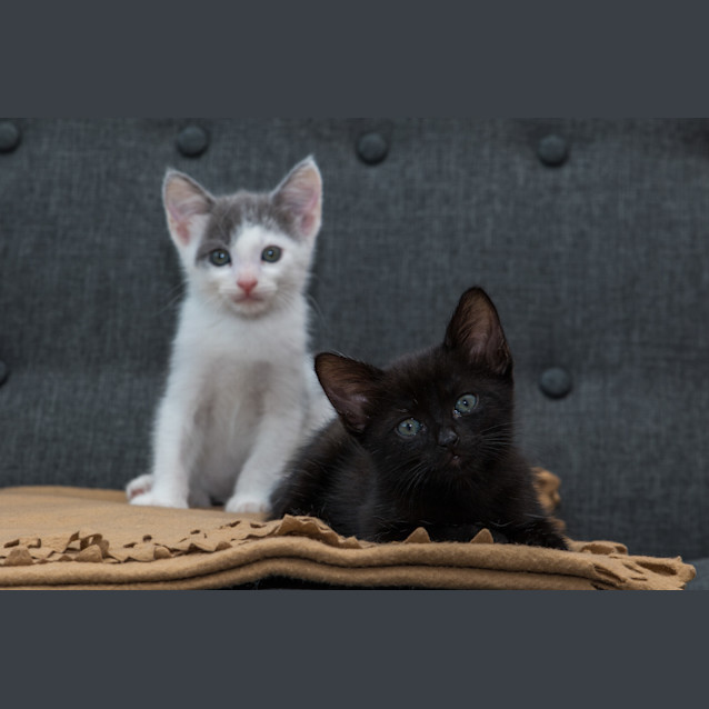 Photo of Eric And Jasmine