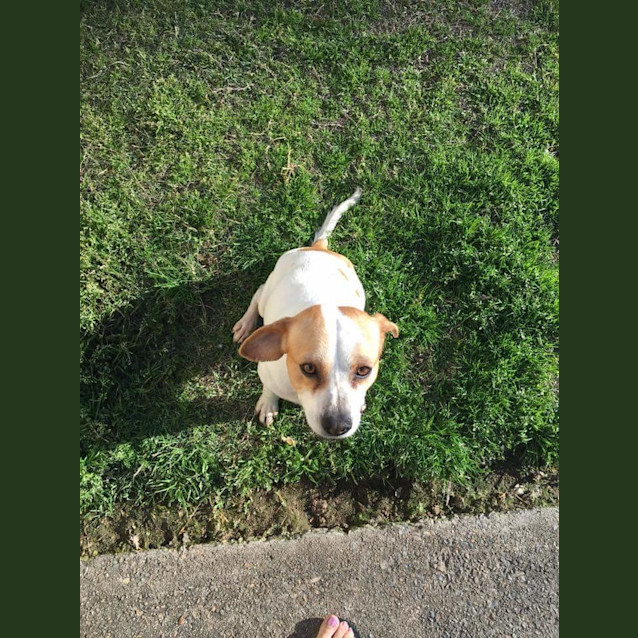 Photo of Jackson ** A Loving Little Man **