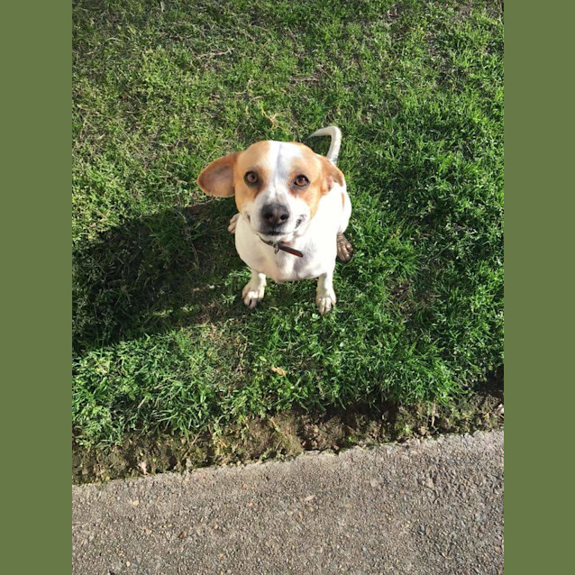 Photo of Jackson ** A Loving Little Man **