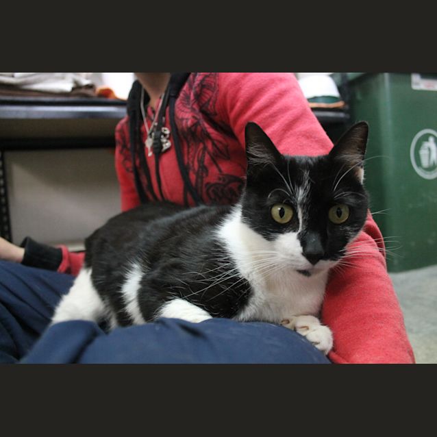 Photo of Lucky