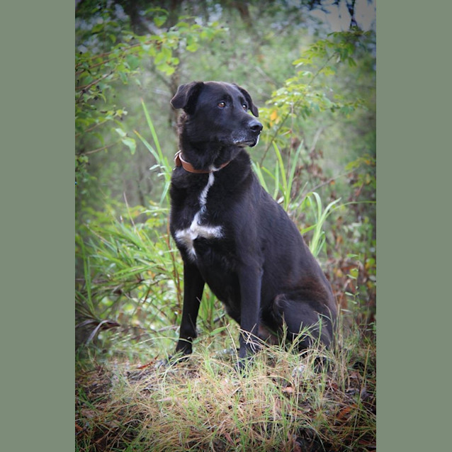 Photo of Tyson