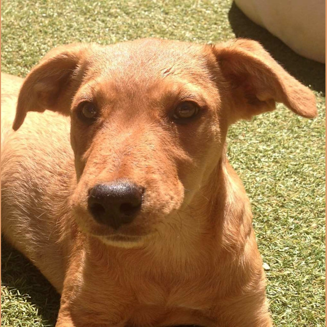 Photo of Sally