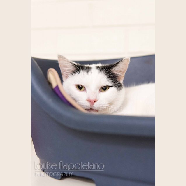 Photo of Benny (2625)