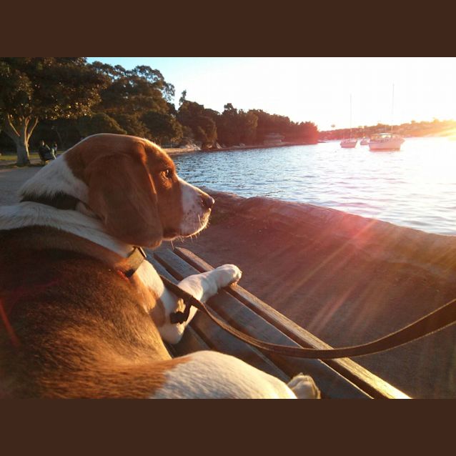 Photo of Winston