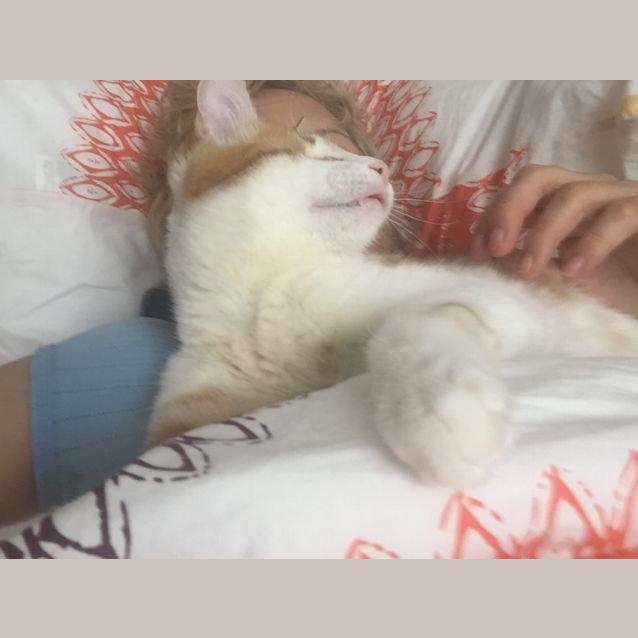 Photo of Stevie & Isaac 