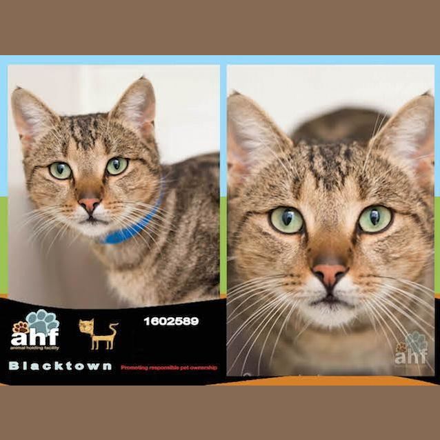 Photo of Maurice ( 3276)