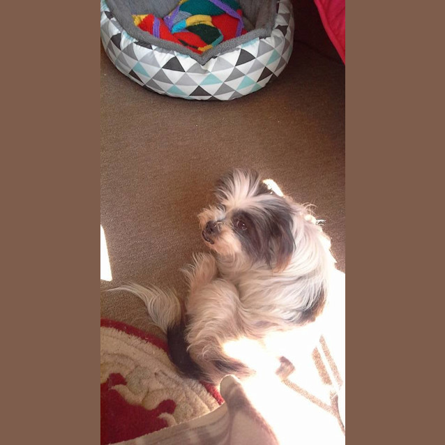Photo of Molly