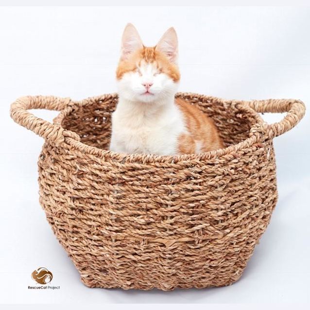 Photo of Stevie & Isaac 