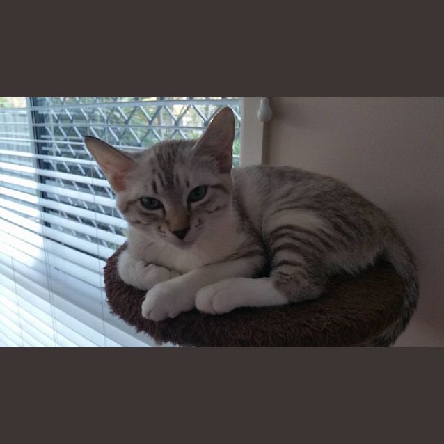 Photo of Lilly