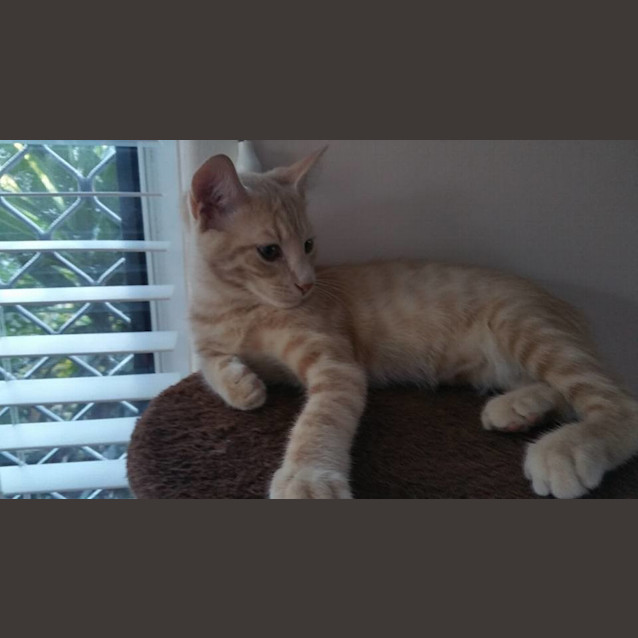 Photo of Rueben
