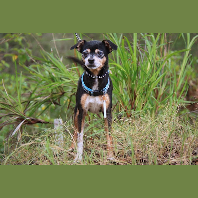 Photo of Missy